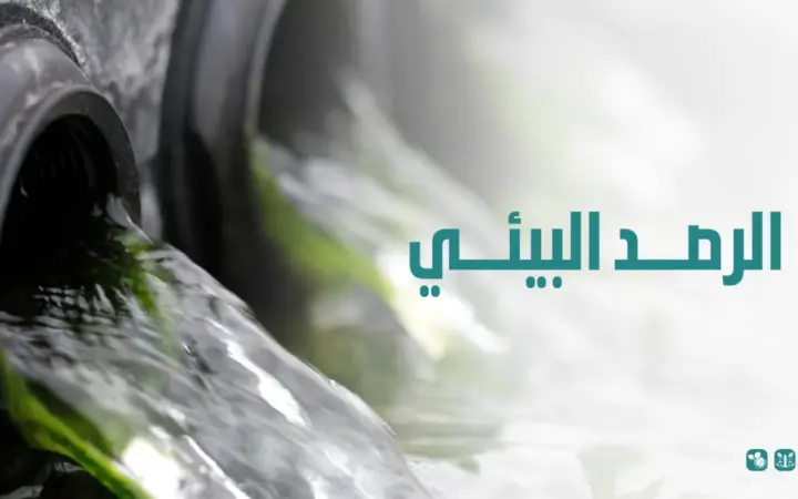 الرصد البيئي
